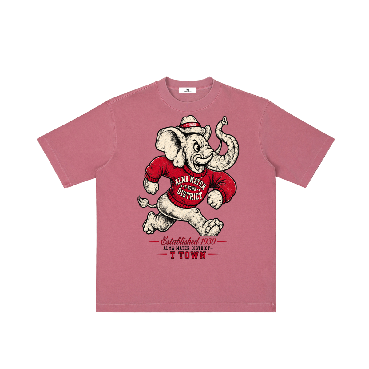T-Town District Vintage Mascot Tee